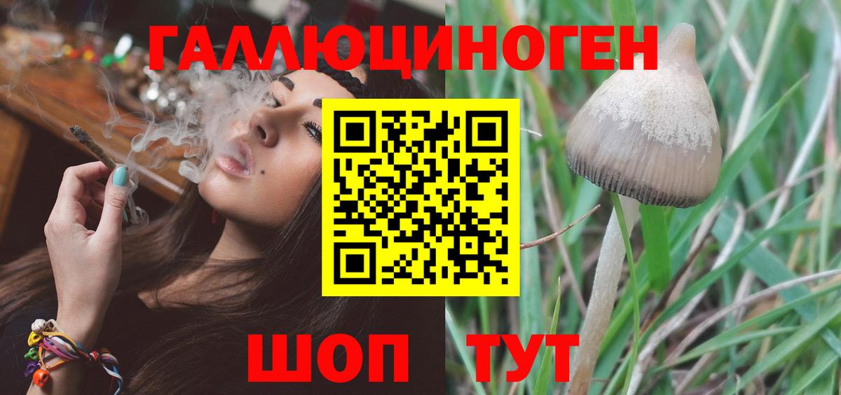 Псилоцибиновые грибы ЛСД Подольск